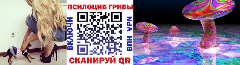 mega tor  Гаврилов-Ям  Псилоцибиновые грибы ЛСД  купить наркотик 